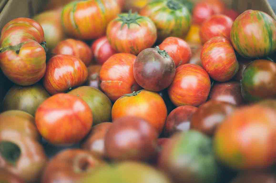 How to Plan Your Hydroponic Garden for Continuous Harvest Through the Holidays