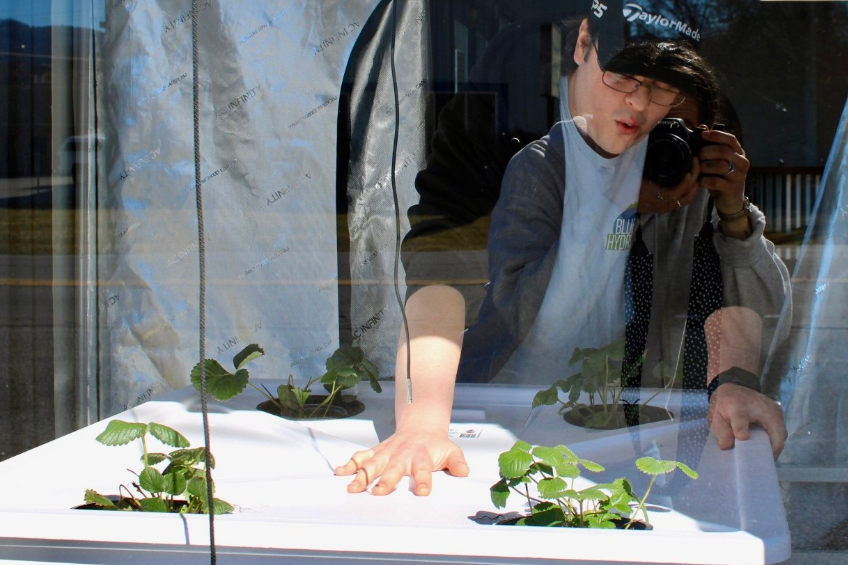Unlocking Potential: Growing Cannabis in Deep Water Culture (DWC) Hydroponics