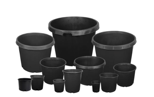 Premium Pot