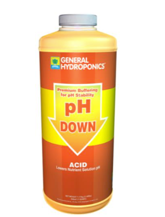 GH Ph Down Quart
