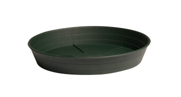 22 plant saucer 10" Green Saucer Hydrofarm – Blue Ridge Hydroponics