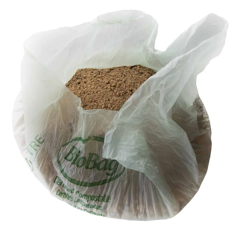 BuildASoil Kashi Blend Bloom