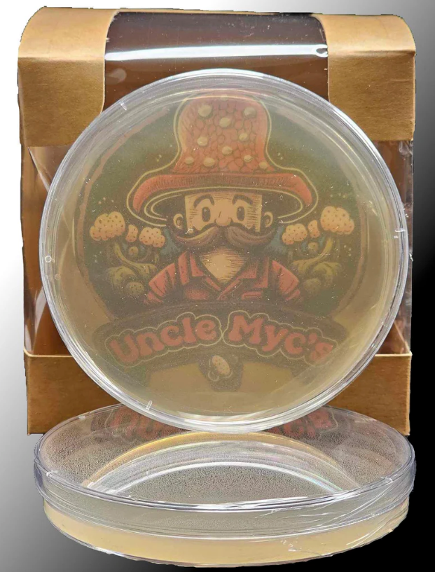 Light Malt Extract Agar Plate 10 Pack