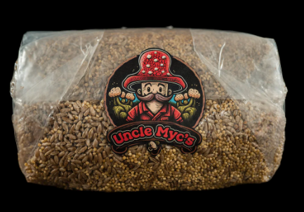60/40 Rye Berry & Millet Grain Mix 100% Sterilized Mushroom Spawn Bag 4lb