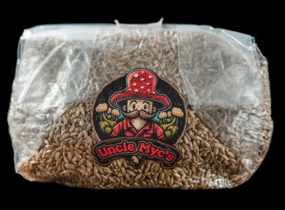 Rye Berry Grain 100% Sterilized Mushroom Spawn Bag 4lb
