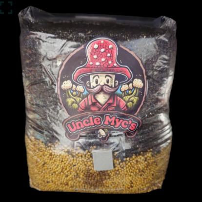 All-In-One Mushroom Spawn Bag 4lb