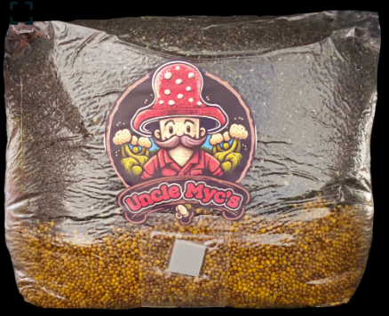 All-In-One Mushroom Spawn Bag 7lb