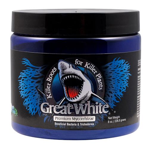 Great White