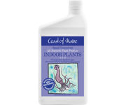 COM Indoor Plants Squid Quart