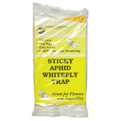 Yellow Sticky Trap 5 Pack