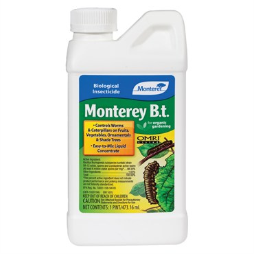 Monterey BT