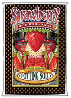 Strawberry Fields 1.5 Cubic Ft