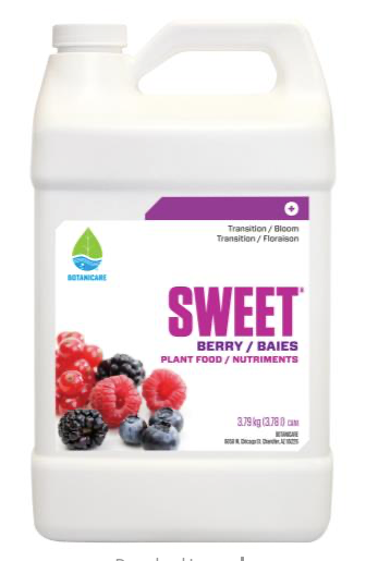 Sweet Berry Quart