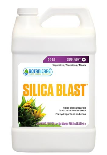 Silica Blast Gallon