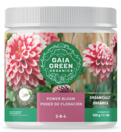 Gaia Power Bloom