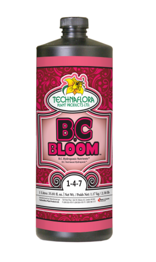 BC Bloom