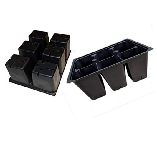 6 Cell Seed Tray