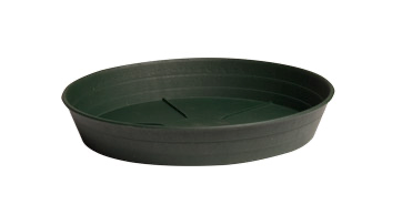 10" Green Saucer Hydrofarm