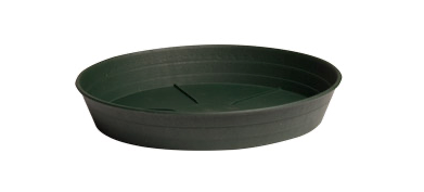 12" Green Saucer Hydrofarm