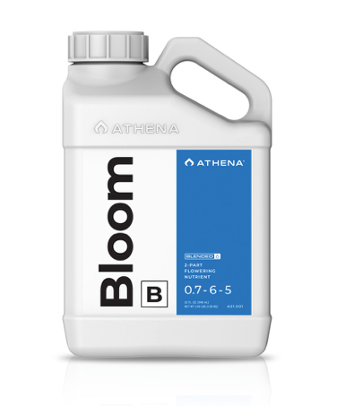 Athena Bloom B 1 Gallon