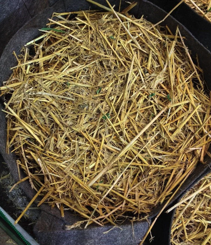 Build a Soil Straw 2 Cubic