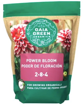 Gaia Power Bloom