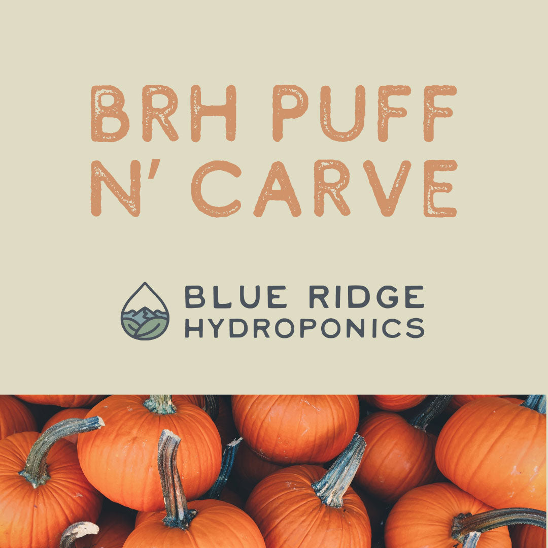 BRH Puff n' Carve Event Ticket